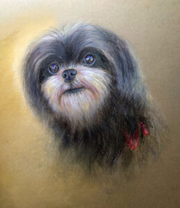 Ute Tobisch, handgemalte Tierportraits und mehr