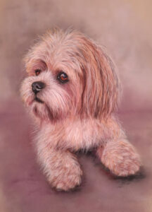 Ute Tobisch Tierportrait